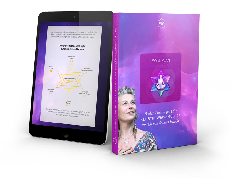 Soul Plan Report Mockup